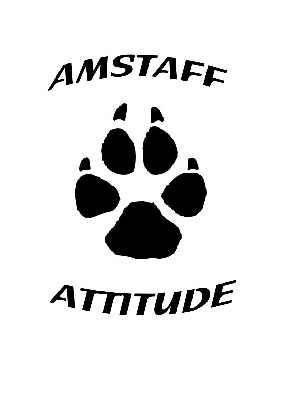 Amstaff Attitude